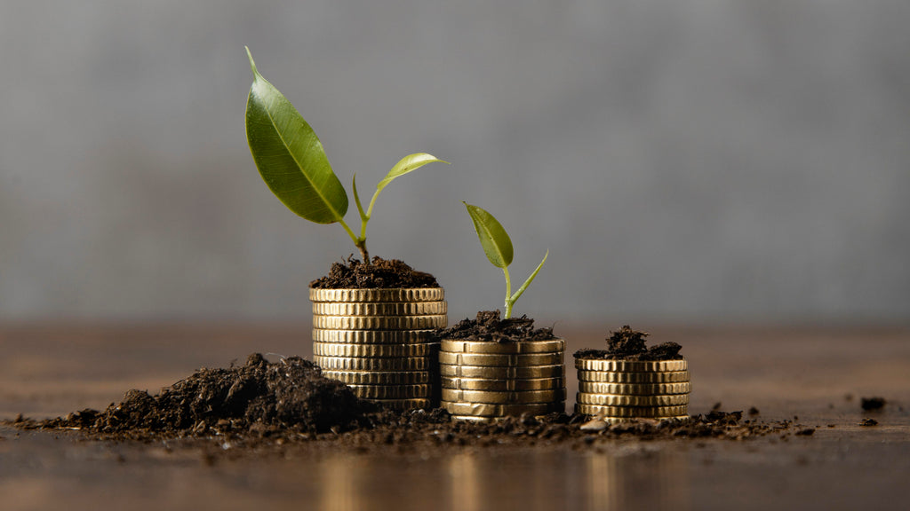 Demystifying illusions: What greenwashing hides